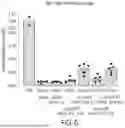 Fig. 07 - CFTR-MODULATING COMPOSITIONS AND METHODS