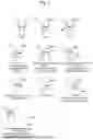 Fig. 02 - HETERONUCLEIC ACID INCLUDING 2'-MODIFIED NUCLEOSIDE