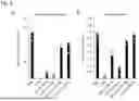 Fig. 07 - HETERONUCLEIC ACID INCLUDING 2'-MODIFIED NUCLEOSIDE