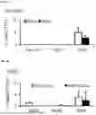 Fig. 06 - SYSTEMS AND METHODS FOR THE TREATMENT OF HEMOGLOBINOPATHIES