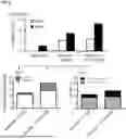 Fig. 07 - SYSTEMS AND METHODS FOR THE TREATMENT OF HEMOGLOBINOPATHIES