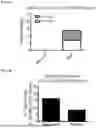 Fig. 22 - SYSTEMS AND METHODS FOR THE TREATMENT OF HEMOGLOBINOPATHIES
