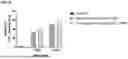 Fig. 43 - SYSTEMS AND METHODS FOR THE TREATMENT OF HEMOGLOBINOPATHIES