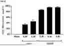 Fig. 83 - SYSTEMS AND METHODS FOR THE TREATMENT OF HEMOGLOBINOPATHIES