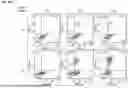 Fig. 197 - EFFICIENT TCR GENE EDITING IN T LYMPHOCYTES