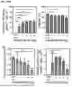 Fig. 331 - EFFICIENT TCR GENE EDITING IN T LYMPHOCYTES