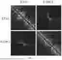 Fig. 04 - Recovering Long-Range Linkage Information From Preserved Samples