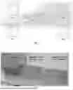Fig. 02 - BIOINSPIRED SKIRTED FOOTING AND ITS METHOD OF INSTALLATION