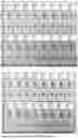Fig. 03 - APPLICATION OF BLOOD GROUP ANTIGEN TRISACCHARIDE CONJUGATES IN THE DETECTION OF BLOOD GROUP ANTIBODIES