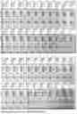 Fig. 04 - APPLICATION OF BLOOD GROUP ANTIGEN TRISACCHARIDE CONJUGATES IN THE DETECTION OF BLOOD GROUP ANTIBODIES