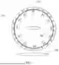 Fig. 02 - FLEXIBLE CT DETECTOR AND STATIC CT SYSTEM USING SAME