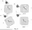 Fig. 06 - OPTICAL WAVEGUIDE SYSTEM AND AUGMENTED REALITY DEVICE