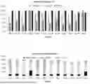 Fig. 12 - SYSTEMS AND METHODS FOR EVALUATING SUSTAINABILITY OF A FOOD SUPPLY CHAIN NETWORK USING DIGITAL TWIN