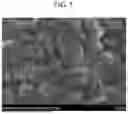Fig. 06 - POSITIVE ELECTRODE ACTIVE MATERIALS, PREPARATION METHODS THEREOF, POSITIVE ELECTRODES, AND RECHARGEABLE LITHIUM BATTERIES