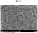 Fig. 07 - POSITIVE ELECTRODE ACTIVE MATERIALS, PREPARATION METHODS THEREOF, POSITIVE ELECTRODES, AND RECHARGEABLE LITHIUM BATTERIES
