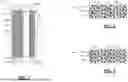 Fig. 02 - FLUORINATED ELECTROLYTE FOR BATTERY CELL INCLUDING CATHODE ELECTRODE WITH LITHIUM- AND MANGANESE-RICH (LMR) ACTIVE
