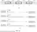 Fig. 06 - DATA SCHEDULING METHOD AND APPARATUS