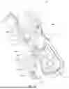 Fig. 06 - TRIGGER MODULE