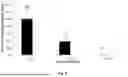 Fig. 14 - COMPOSITION OF ALPHA-TCP, SILICATE AND PHOSPHORYLATED AMINO ACID