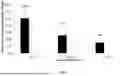 Fig. 15 - COMPOSITION OF ALPHA-TCP, SILICATE AND PHOSPHORYLATED AMINO ACID