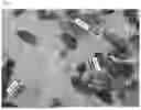 Fig. 09 - FLAKE-LIKE COMPOSITION AND FLAKE-LIKE COMPOSITION PRODUCTION METHOD