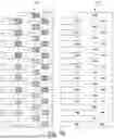 Fig. 62 - A RECONFIGURABLE WEB AND IMPLEMENTATIONS THEREFOR