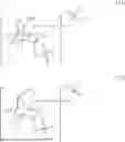 Fig. 21 - METHODS AND COMPOSITIONS FOR ACHIEVING HEMOSTASIS AND STABLE BLOOD CLOT FORMATION