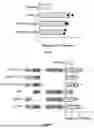 Fig. 09 - METHODS OF IDENTIFYING PROXIMITY EFFECTOR POLYPETIDES AND METHODS OF USE THEREOF