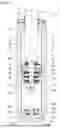 Fig. 02 - SHOCK ABSORBER
