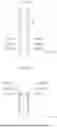 Fig. 06 - LIGHT SOURCE UNIT FOR VEHICULAR LIGHTING FIXTURE, AND VEHICULAR LIGHTING FIXTURE