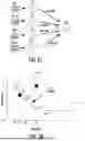 Fig. 22 - ULTRASONIC FUEL FLOW MEASURING SYSTEMS AND METHODS