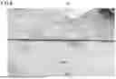 Fig. 07 - Microscopic Object Condensation Method, Microscopic Object Condensation Kit, and Microscopic Object Condensation System