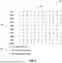 Fig. 05 - TRANSMISSION OF SIGNALS FOR RANGING, TIMING, AND DATA TRANSFER
