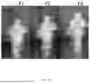 Fig. 08 - TERAHERTZ SIGNAL-BASED IMAGE COLLECTION DEVICE, IMAGE GENERATION SYSTEM AND IMAGE GENERATION METHOD