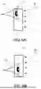 Fig. 07 - FOLDED OPTICAL SYSTEM OPTIMIZED TO MITIGATE GLARE