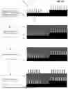 Fig. 07 - SUPERIMPOSED DIFFRACTIVE GRATINGS FOR OPTICAL ELEMENTS OF AUGMENTED REALITY AND VIRTUAL REALITY DISPLAYS