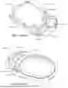 Fig. 554 - HEAD MOUNTABLE DISPLAY