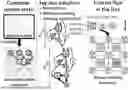 Fig. 01 - ENERGY-MINIMAL DATAFLOW ARCHITECTURE WITH PROGRAMMABLE ON-CHIP NETWORK