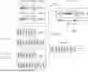 Fig. 01 - ZINC FINGER DESIGN USING A HIERARCHICAL MACHINE LEARNING MODEL