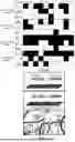 Fig. 06 - ZINC FINGER DESIGN USING A HIERARCHICAL MACHINE LEARNING MODEL