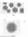 Fig. 02 - COMPOSITE ANODE ACTIVE MATERIAL LAYER FOR ALL-SOLID-STATE-BATTERY AND MANUFACTURING METHOD THE SAME