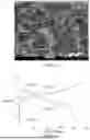 Fig. 06 - COMPOSITE ANODE ACTIVE MATERIAL LAYER FOR ALL-SOLID-STATE-BATTERY AND MANUFACTURING METHOD THE SAME