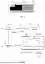 Fig. 03 - PMI-AIDED LINEAR PRECODING FOR RANK-DEFICIENT USERS IN MASSIVE MIMO SYSTEMS