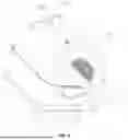 Fig. 08 - FALSE-DETECTION PREVENTION LITTER BOX