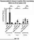 Fig. 08 - COMPOSITIONS AND METHODS FOR DEFINING OPTIMAL TREATMENT TIMEFRAMES IN LYSOSOMAL DISEASE