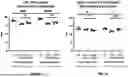 Fig. 09 - COMPOSITIONS AND METHODS FOR DEFINING OPTIMAL TREATMENT TIMEFRAMES IN LYSOSOMAL DISEASE