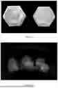 Fig. 02 - DOPED TITANIUM DIOXIDE COMPOSITIONS AND METHODS OF USE IN WHITENING TEETH