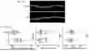 Fig. 31 - CELL TYPE SELECTIVE DELIVERY OF EXOSOME CARGO USING NOTCH LIGAND-RECEPTOR SYSTEM