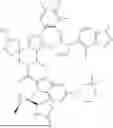 Fig. 303 - GLP-1R AGONIST COMPOUND AND USE THEREOF