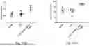 Fig. 167 - METHOD OF TREATING PANCREATIC CANCER